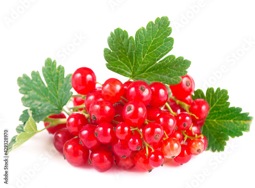 fresh ripe currant photographed closeup isolated on a white background.