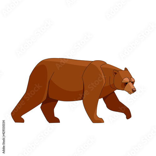 Big brown bear walking. Cartoon flat style vector illustration isolated on white background