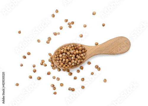 dried coriander seeds in wooden spoon isolated on white background