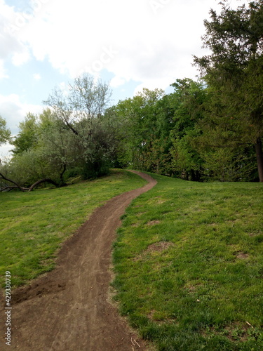 road in the park