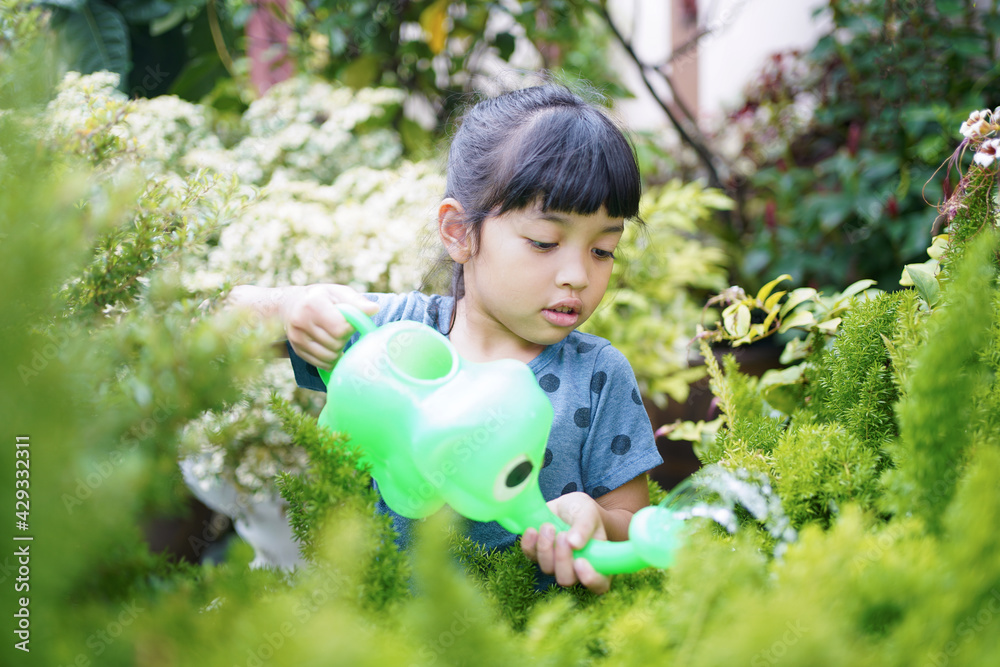 Asian little child girl is watering the little tree plant. Kid helps the world to care and save the natural environment. ecology concept. Asian little child girl is watering the little tree plant. Kid helps the world to care and save the natural environment. ecology concept.