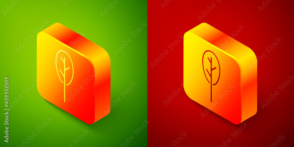 Isometric Spinach icon isolated on green and red background. Square button. Vector Isometric Spinach icon isolated on green and red background. Square button. Vector