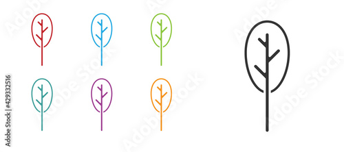 Black Spinach icon isolated on white background. Set icons colorful. Vector