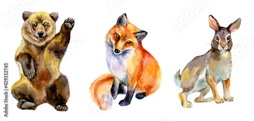 Watercolor brown bear, red fox and hare isolated on white background. Wildlife animals illustration.