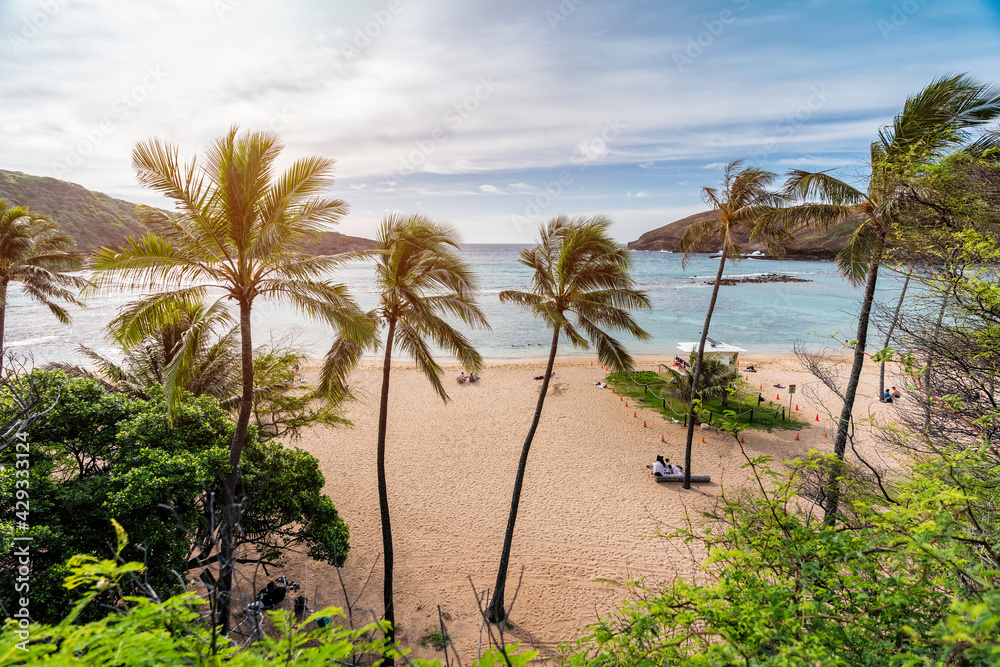 Palm trees on Hanauma Bay Beach, Oahu, Hawaii. Light effect applied