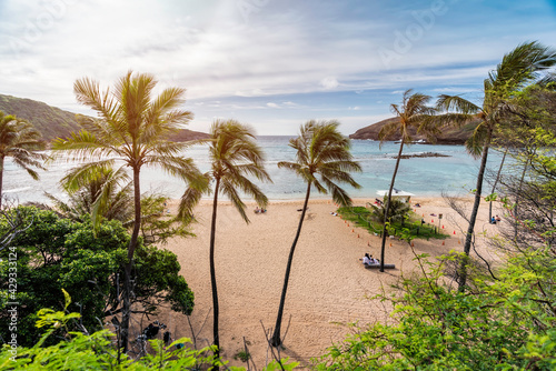 Palm trees on Hanauma Bay Beach  Oahu  Hawaii. Light effect applied