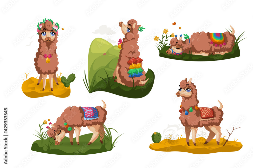 Fototapeta premium Llama, Peru alpaca animal, cartoon Mexican Lama character, mascot with cute face wear tassels on ears and blanket different poses sitting, sleeping, grazing on grass, stand on desert sand isolated set