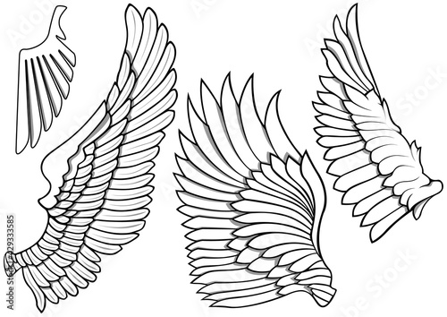 Black and White Wings Icons - Set of Four Illustrations isolated on White Background, Vector