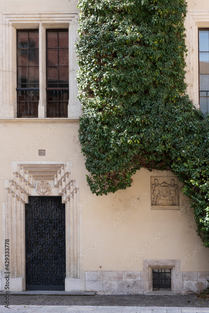 Fototapeta premium old house with windows