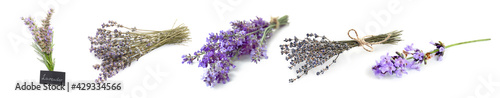 Fototapeta Naklejka Na Ścianę i Meble -  Fresh lavender flowers on white background