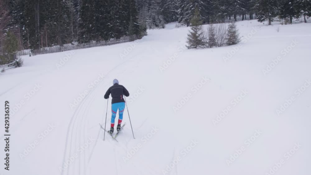 Young woman skiing on a forest trail Young woman skiing on a forest trail