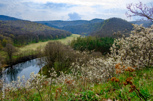 view from mountain umlaufberg to the river thayatal in the lower austrian national park thayatal photo