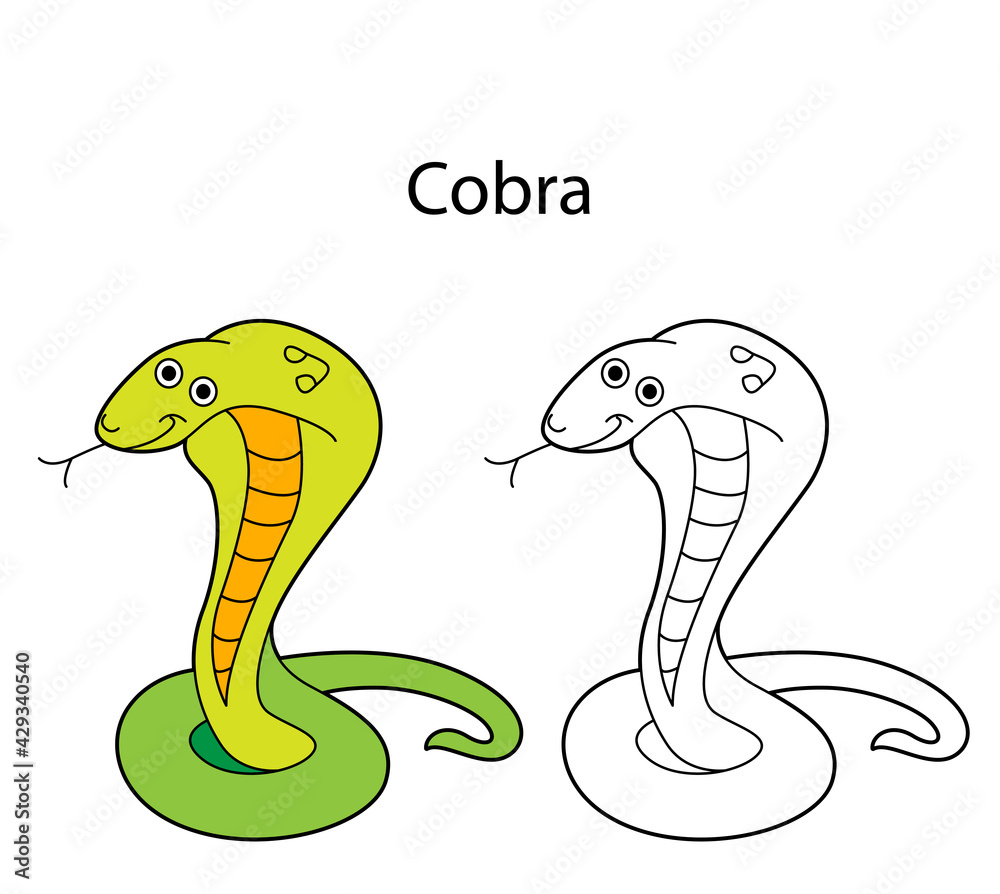 Fototapeta premium Funny cute animal cobra isolated on white background. Linear, contour, black and white and colored version. Illustration can be used for coloring book and pictures for children