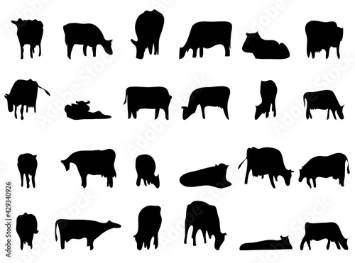 vector cattle silhouettes black on white background. different poses of grazing cows