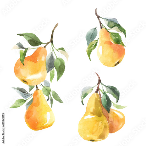 Beautiful set with hand drawn watercolor tasty summer pear fruits. Stock illustration.