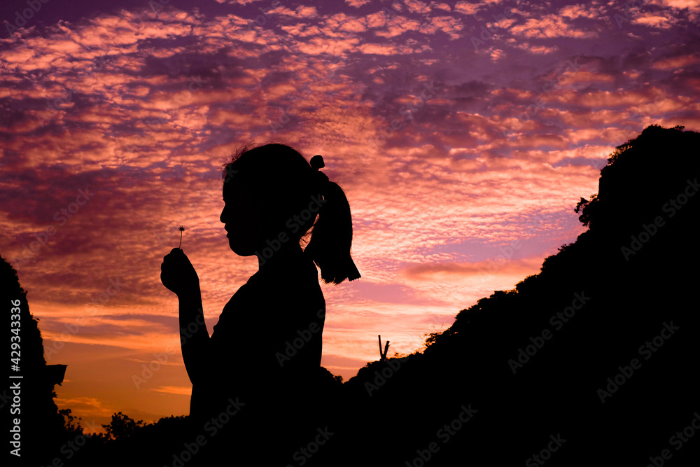 Little girl making a wish under the night sky, Shadow of a child holding a white grass flower under purple sky