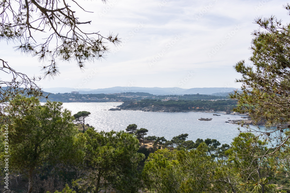 Landscape from the forest of the coast of PALAMOS Landscape from the forest of the coast of PALAMOS