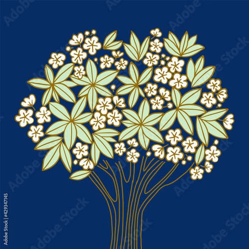 Plumeria tree with White fl...