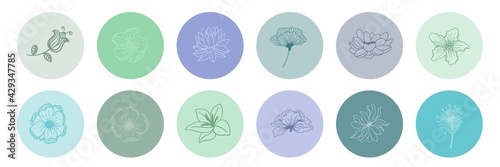 Collection of floral round icons in warm colors isolated. Borders decorated with hand drawn delicate flowers, branches, leaves, blossom.vector.