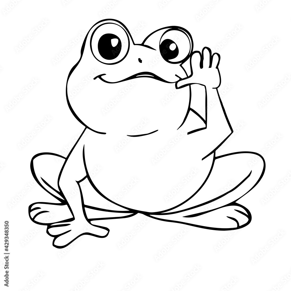 Close-up of a frog on a white background. Contour drawing, vector graphics. Close-up of a frog on a white background. Contour drawing, vector graphics.