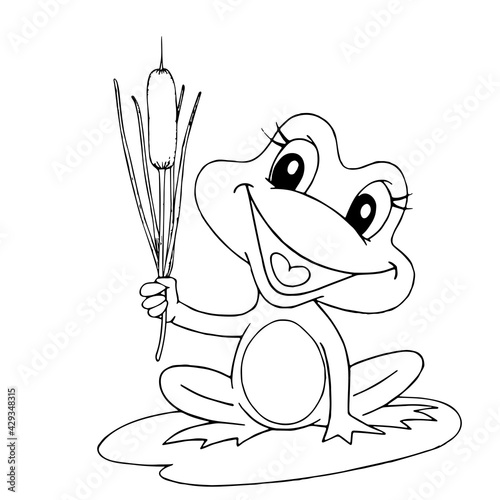 Close-up of a frog on a white background. Contour drawing, vector graphics.