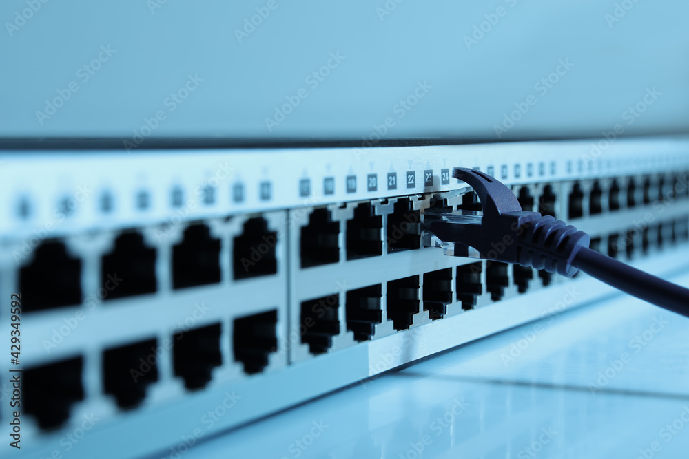 Closeup view of network switch with cable on light background, toned in blue. Internet connection Closeup view of network switch with cable on light background, toned in blue. Internet connection