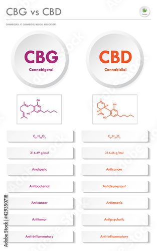 CBG vs CBD, Cannabigerol vs Cannabidiol vertical business infographic