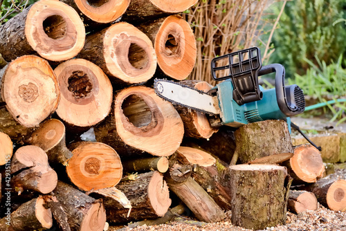 Freshly cut firewood and an electric chain saw during seasonal work in garden. Eco-friendly electric garden tools equipment for cutting trees and firewood.