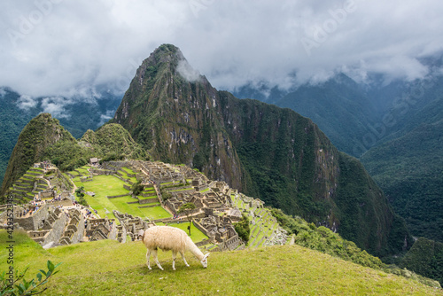 Machu Picchu