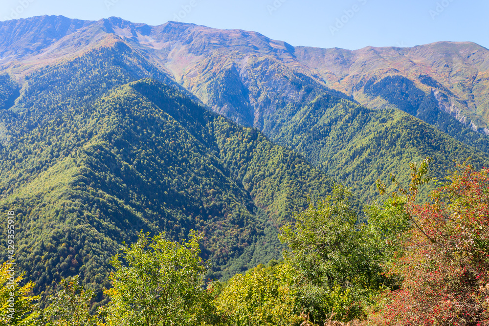 Colorful autumn landscape in the mountains of Georgia. Upper Svaneti, Mestia. The Caucasus Mountains.