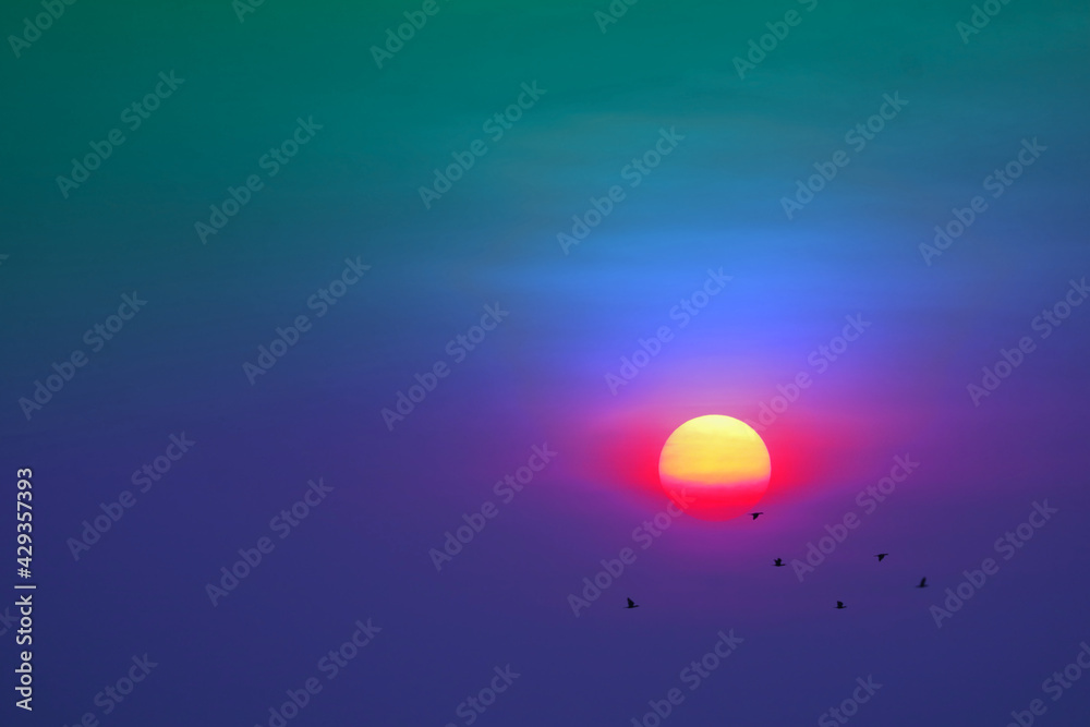 sunset on the evening colorful pastel cloud on the sky and silhouette birds flying sunset on the evening colorful pastel cloud on the sky and silhouette birds flying