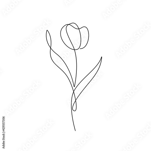 Tulip Flower One Line Drawing. Hand Drawn Minimalism Style of Simple Flower Line Art Drawing. Vector EPS 10