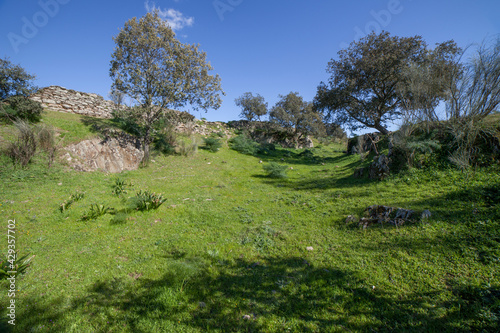 Tamusia archaeological site, Botija, Caceres, Extremadura