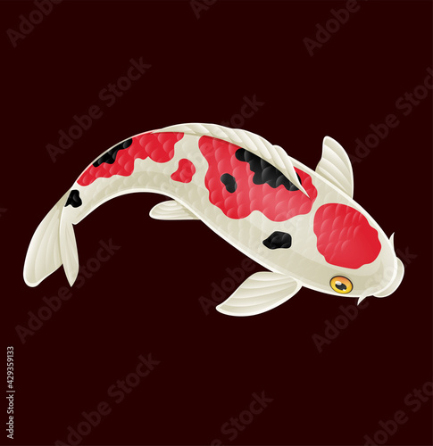 Cartoon cute koi fish on red background