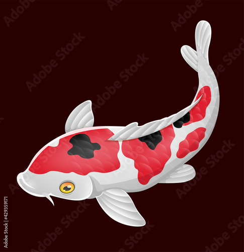 Cartoon cute koi fish on red background