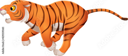 Cartoon funny tiger running on white background © tigatelu