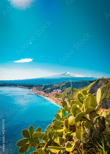 Natural scenery of Mt. Etna and the coast in Taormina, Sicily. Cactus plant in the foreground, vertical image 