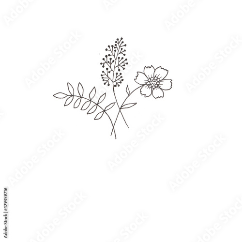 Flower and leaf hand draw sketch black and white with line art. Botanical minimalistic tattoo.