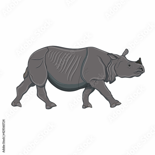 Detailed illustration of an adult rhinoceros, one-horned indian rhinoceros