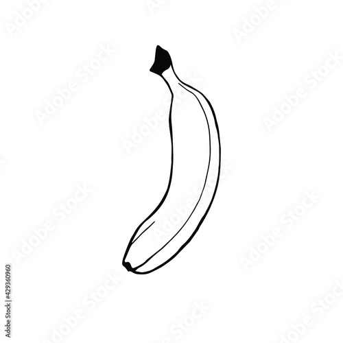 Doodle illustration. Hand-drawn. Sketch. Banana.