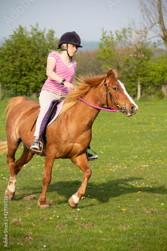 Pretty young teenager riding her chestnut pony in the English countryside, enjoying the feeling of speed as they race across the fields.