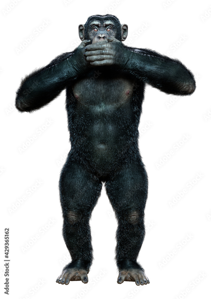 3D Rendering Chimpanzee on White