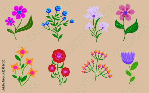 Set of hand-drawn flowers. Flora vector elements