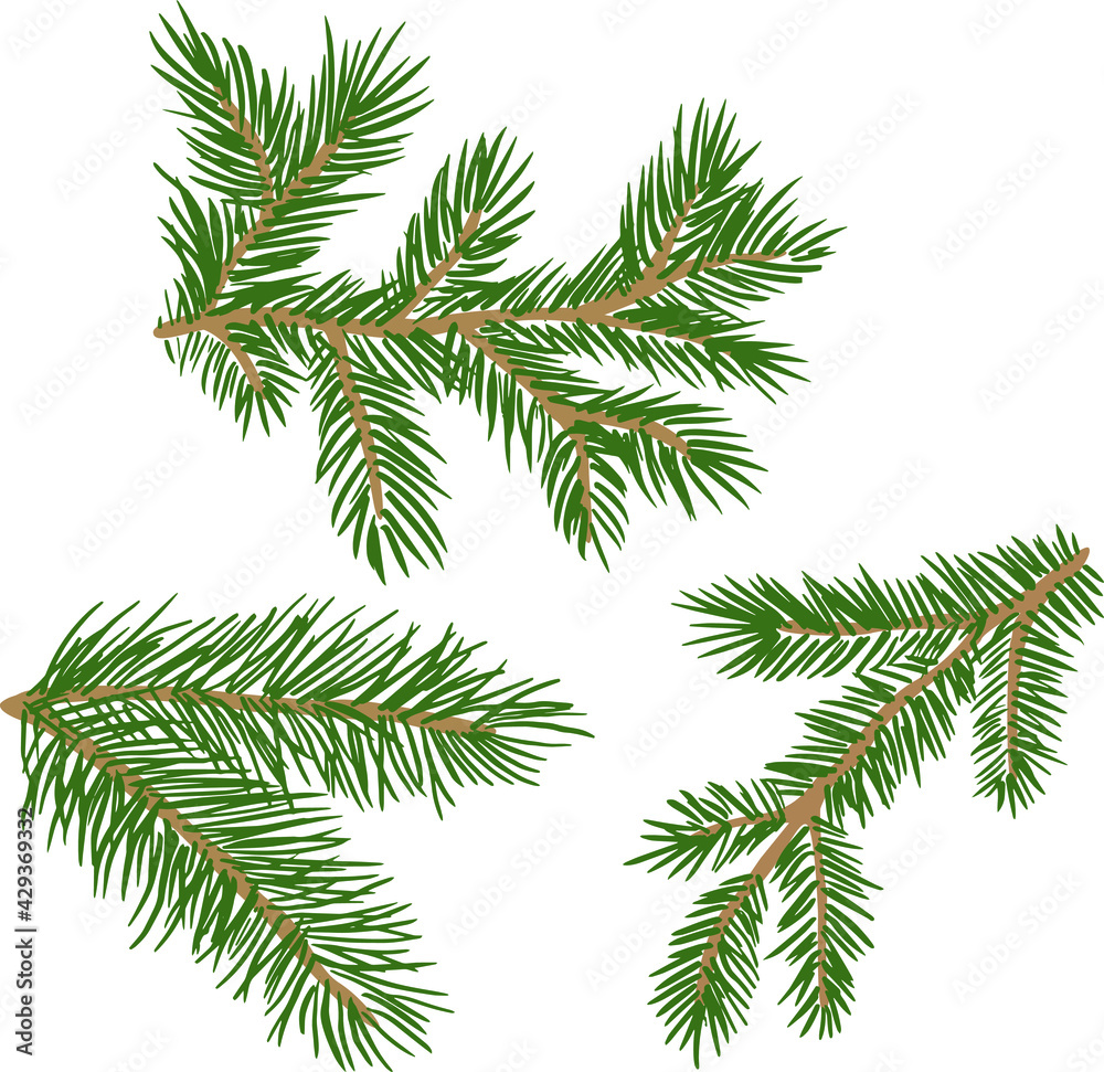 Set of collection of green natural forest pine, Christmas tree, needles branches of greenery, pine needles. Decorative winter seasonal editable, isolated art set. Vector graphics 