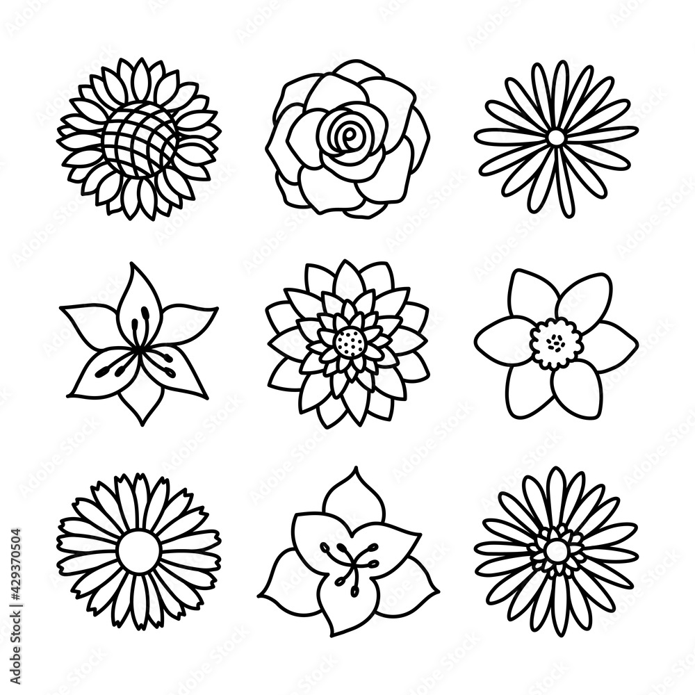 Flowers. Doodle vector set. Hand drawn line sketch floral collection ...