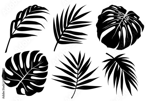 Vector tropic leaves black silhouette. Jungle plant, monstera leaf, palm frond. Abstract exotic set with tropical elements