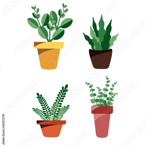 Plant for decorations on white background.