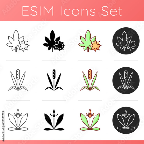 Intolerance for allergen icons set. Castor bean. Timothy grass. English plantain. Flower pollen. Common reason for allergy. Linear, black and RGB color styles. Isolated vector illustrations