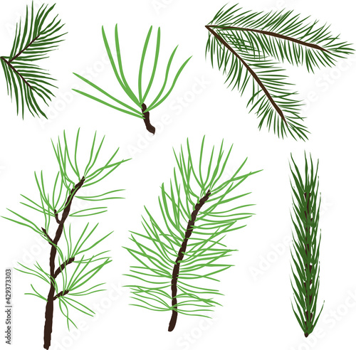 Set of collection of green natural forest pine, Christmas tree, needles branches of greenery, pine needles. Decorative winter seasonal editable, isolated art set. Vector graphics 