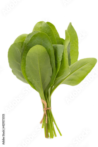 Fresh Spinach on white background